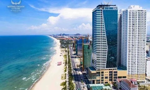 Vì sao khi đến Đà Nẵng tôi lại chọn Khách sạn Mường Thanh Luxury