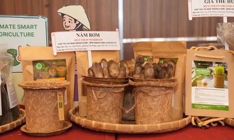 Hội nghị Tổng kết Dự án “Các Trung tâm Đổi mới Sáng tạo Xanh - GIC”