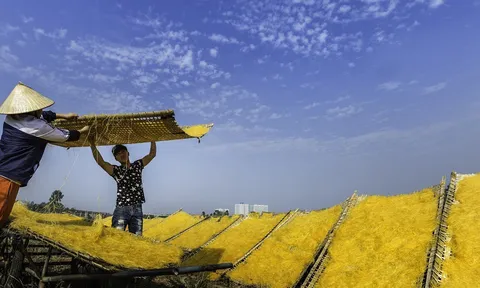 Phát triển làng nghề kết hợp mô hình du lịch giáo dục trải nghiệm