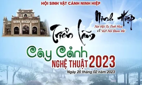 Hà Nội: Mãn nhãn sân chơi Cây cảnh nghệ thuật triệu đô tại Ninh Hiệp