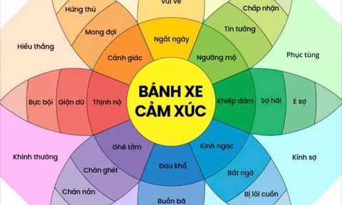Muốn có trí tuệ cảm xúc (EQ), trước hết phải hiểu về cảm xúc