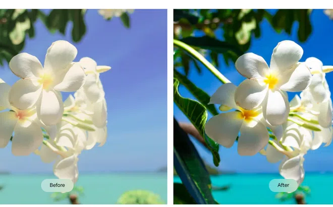 HONOR 400 bước tiến lớn trong nhiếp ảnh di động với camera 200MP